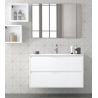PACK Muebles Baño ESENCIA